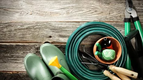 Sicher in die Gartensaison - Zecken, Tetanus und Co.
