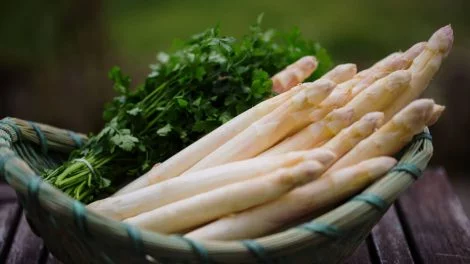 Spargel