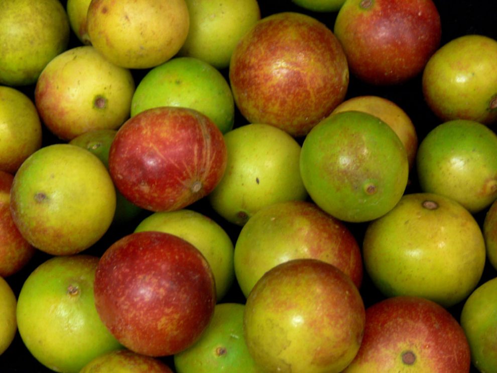 Camu Camu