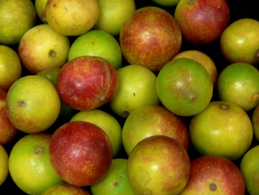 Camu Camu
