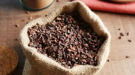 Kakao Nibs