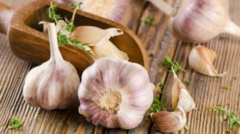 Knoblauch gesund