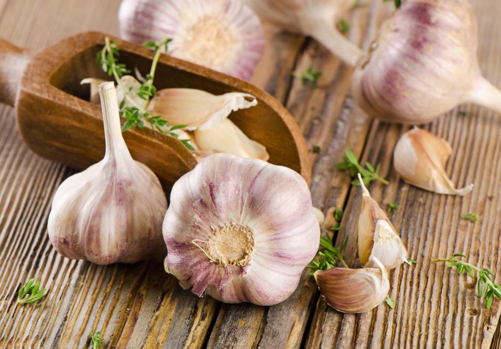 Knoblauch gesund