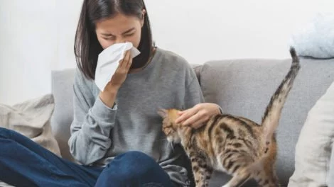 Tierhaarallergie