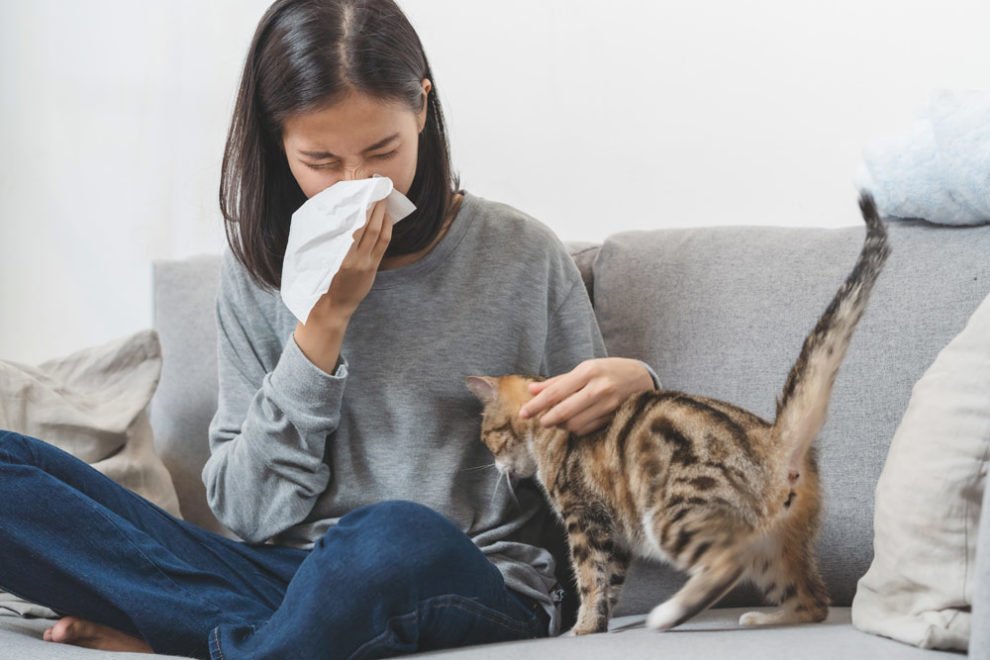 Tierhaarallergie
